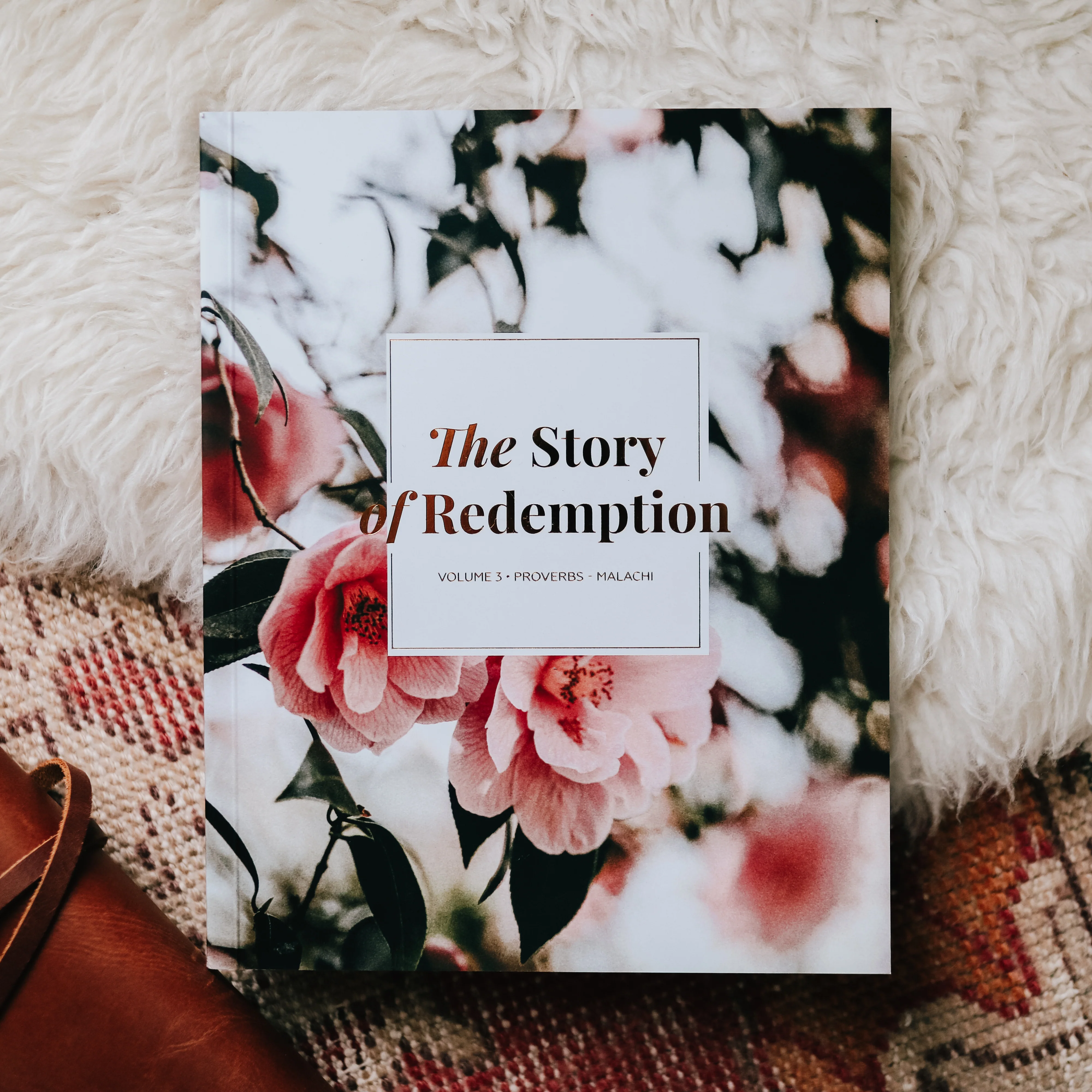 The Story of Redemption Bible Study Bundle - Image 4